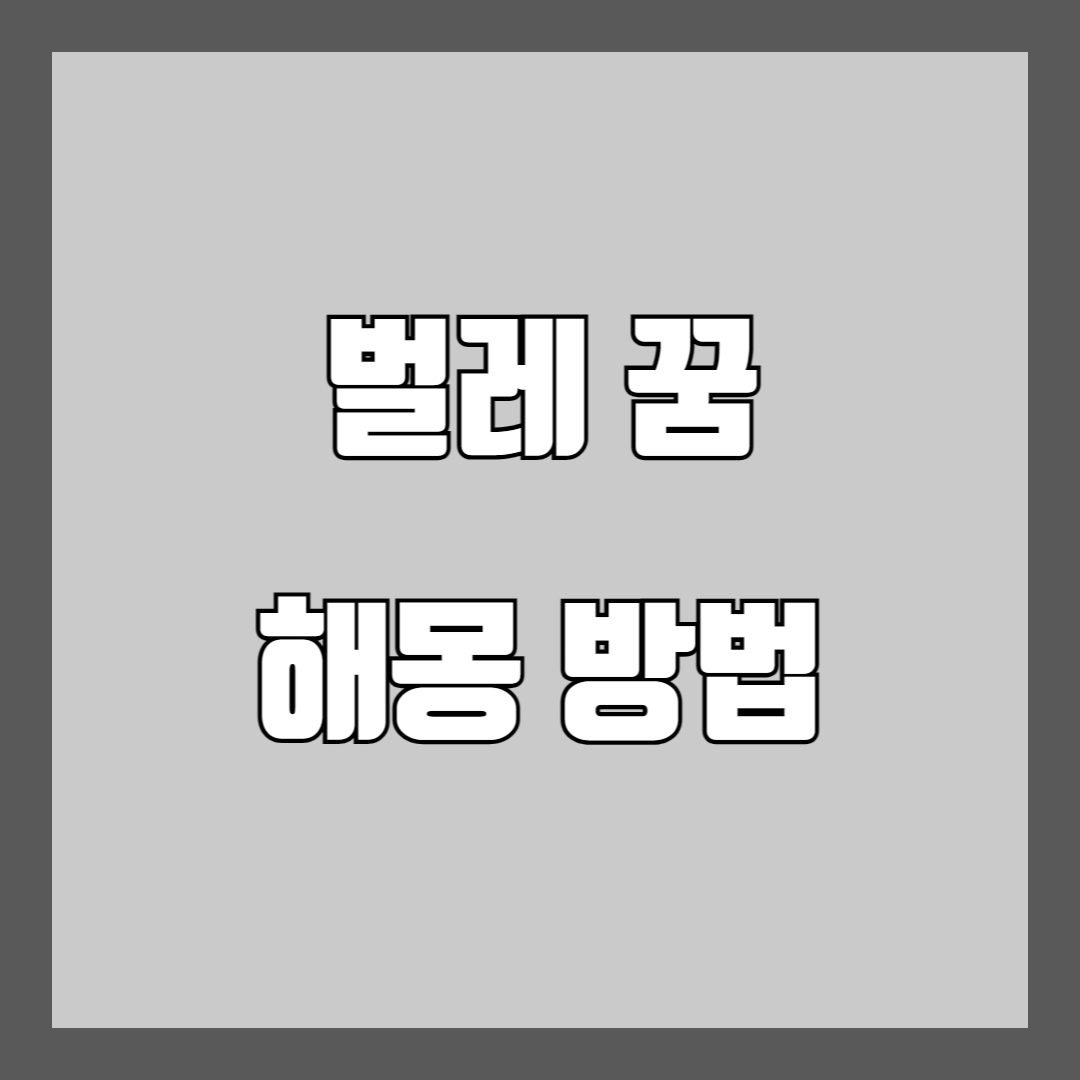 벌레 꿈 해몽 풀이