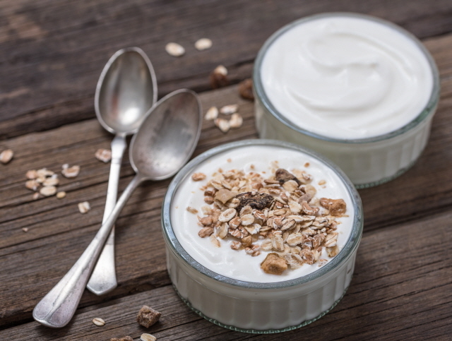 쇠숫가락과 요거트