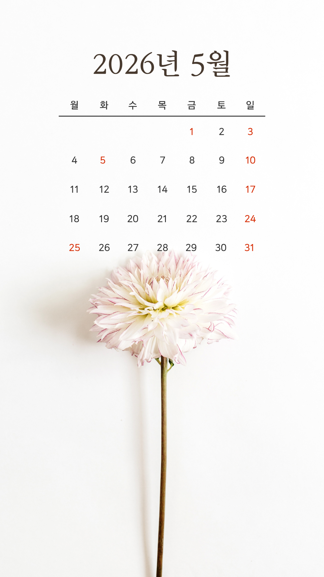 2026년5월 달력 배경화면 스마트폰 바탕화면 이미지 사진 모음