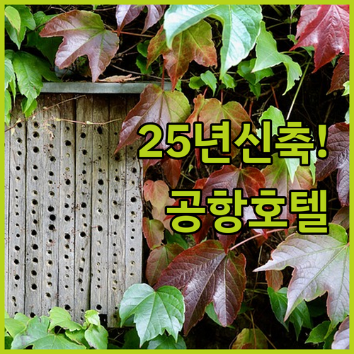 2025년 신축 호텔부터 가성비 캡슐..
