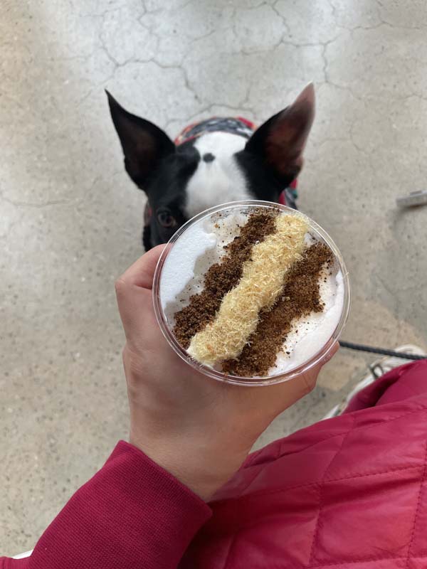 카시아 멍푸치노