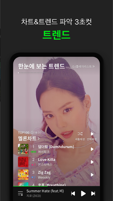멜론(Melon)