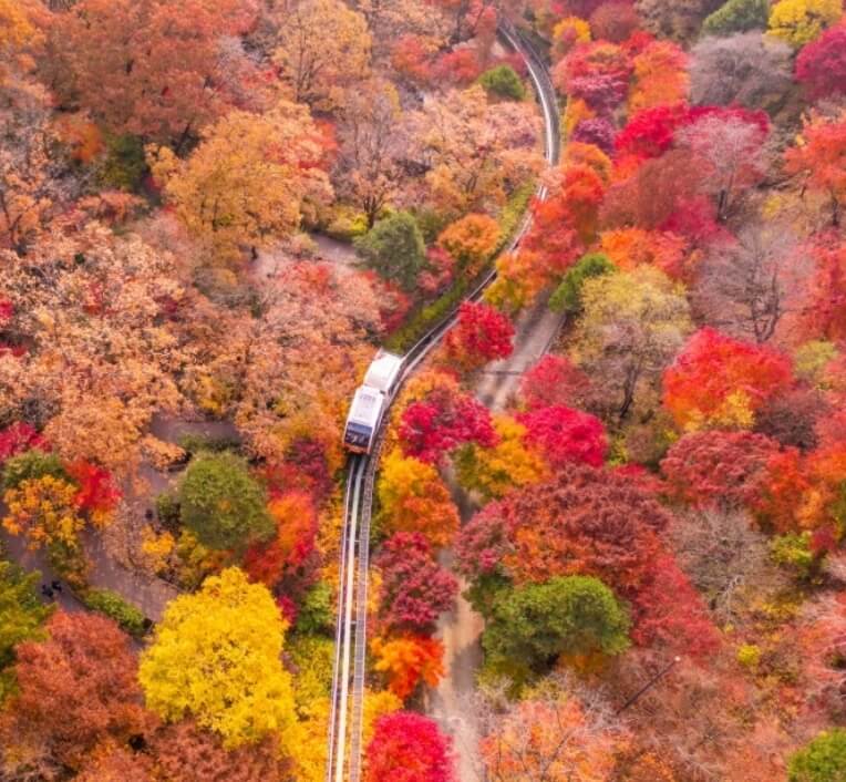 가을 단풍 명소 여행 추천