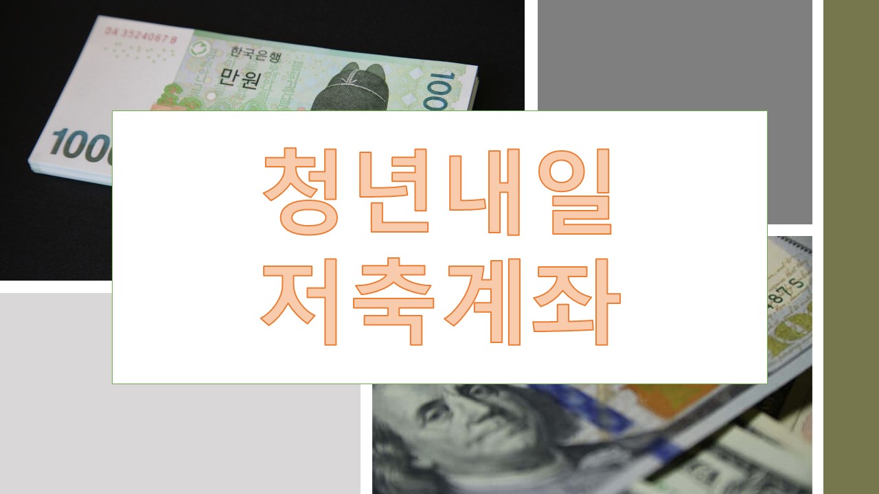 청년내일저축계좌 청년도약계좌 비교분석