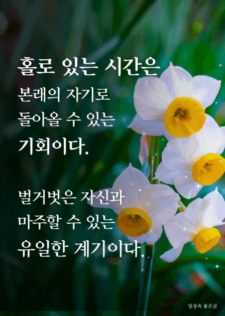 법정스님 명언 이미지, 수선화 꽃과 홀로 있는 시간에 대한 좋은글