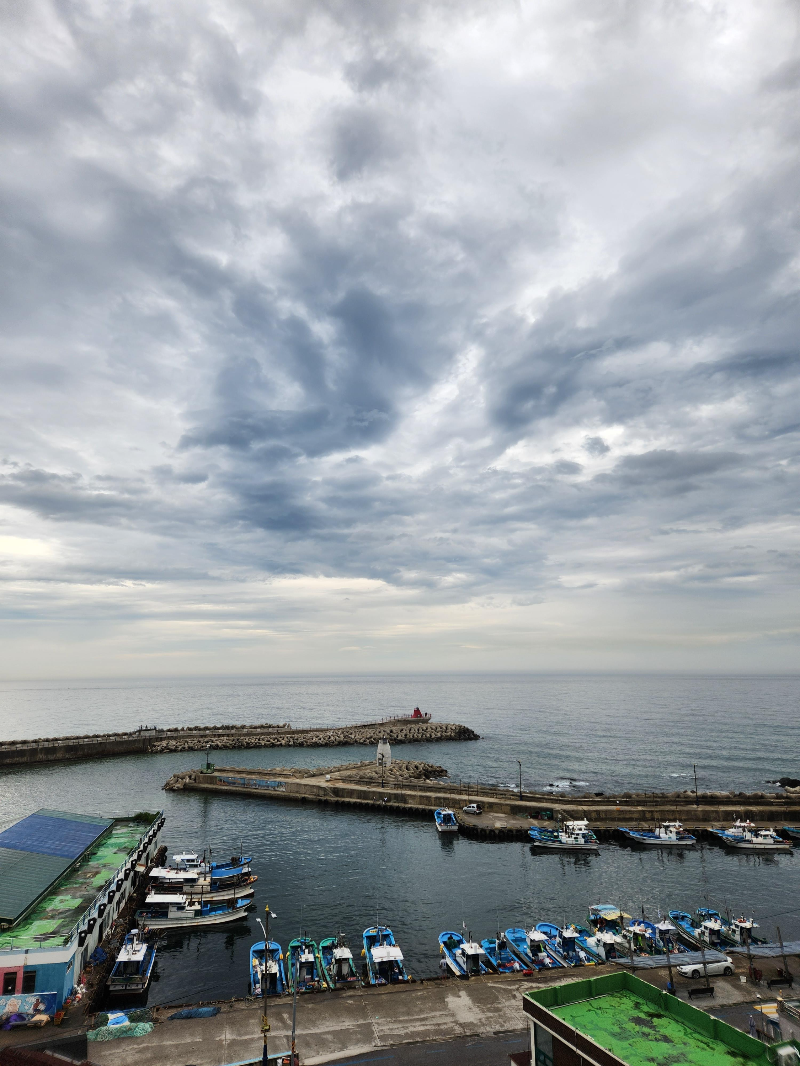 대진해수욕장 낚시