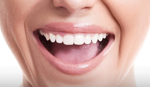 구강 유산균이란?