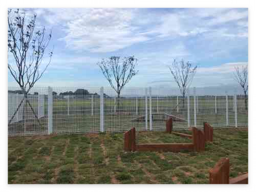 부안 반려동물 놀이터