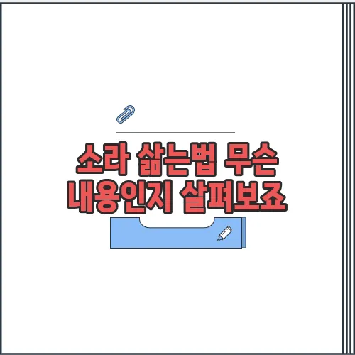 소라 삶는법 무슨 내용인지 살펴보죠