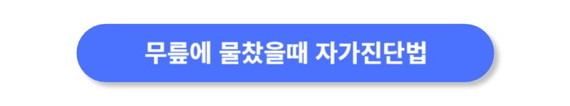 버튼