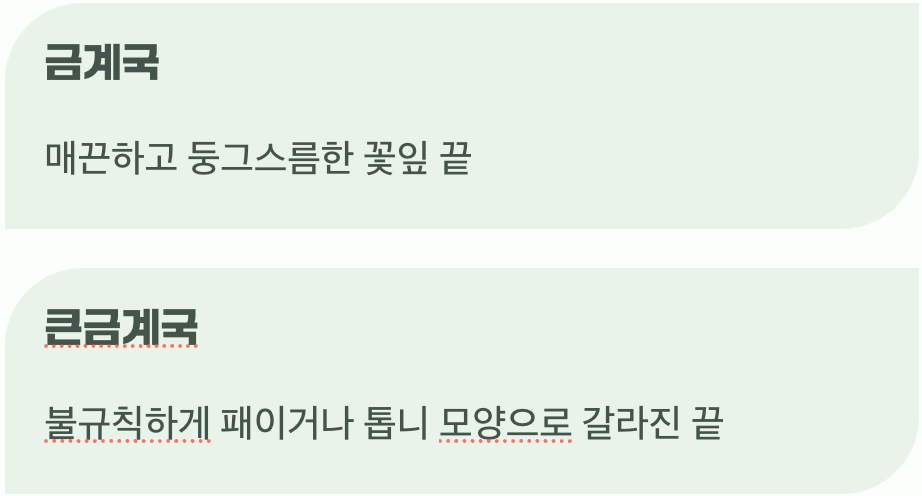 꽃잎 끝에 숨겨진 작은 힌트