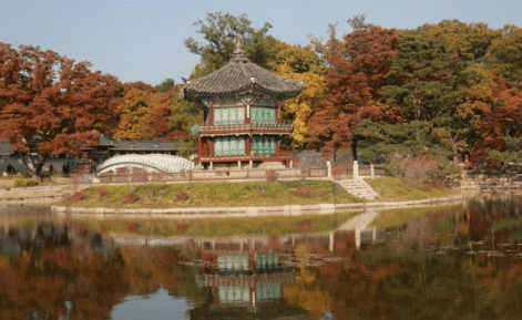 경복궁달빛야행 행사정보유의사항