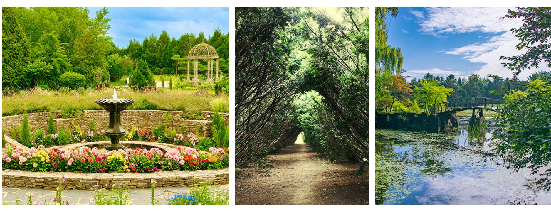 [서울 근교 여행] 경기도 파주 드라마 촬영지 사계절 내내 아름다운 벽초지수목원