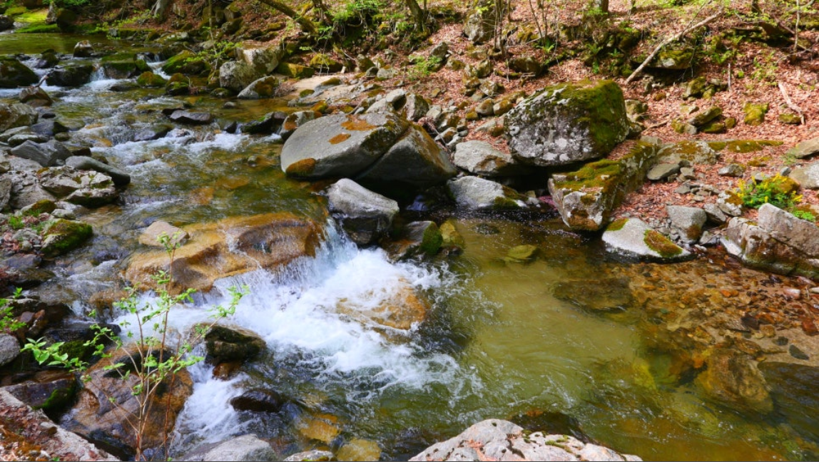 인제 방태산 계곡