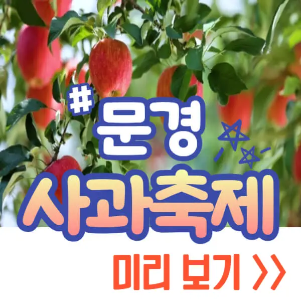 문경 사과축제