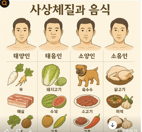 수음.수양 토음 토양 체질차이와 식단차이 사진