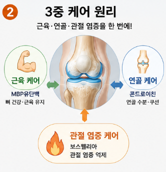 단콘백질정-효능-가격-성분-효과