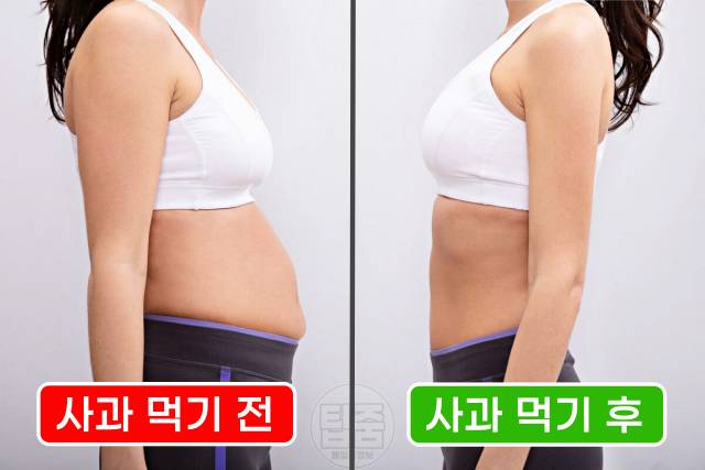 사과 매일 먹으면 다이어트 사과 효능 부작용