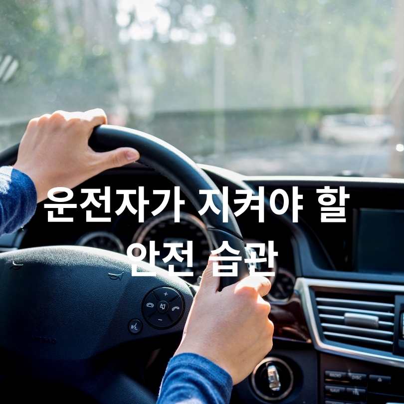 5대 반칙운전 집중단속