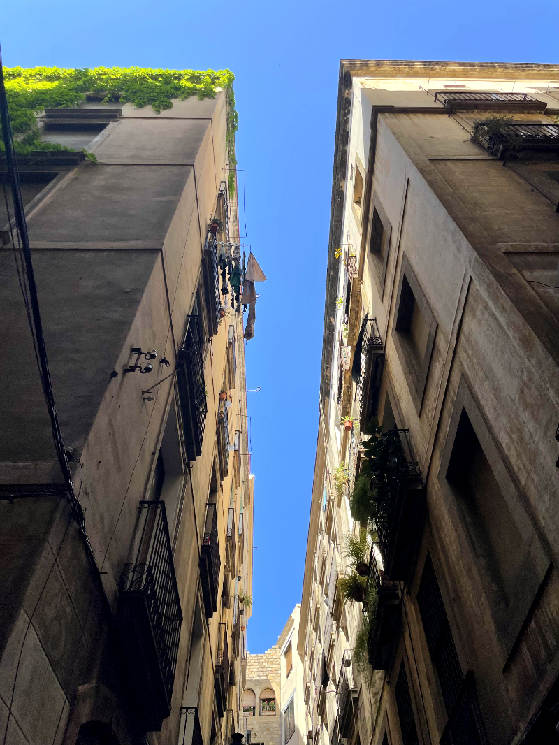 산 하우메 광장 인근 골목길