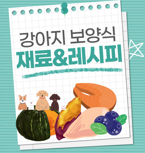 강아지 보양식 재료 추천 및 간단하게 만드는 방법 2가지