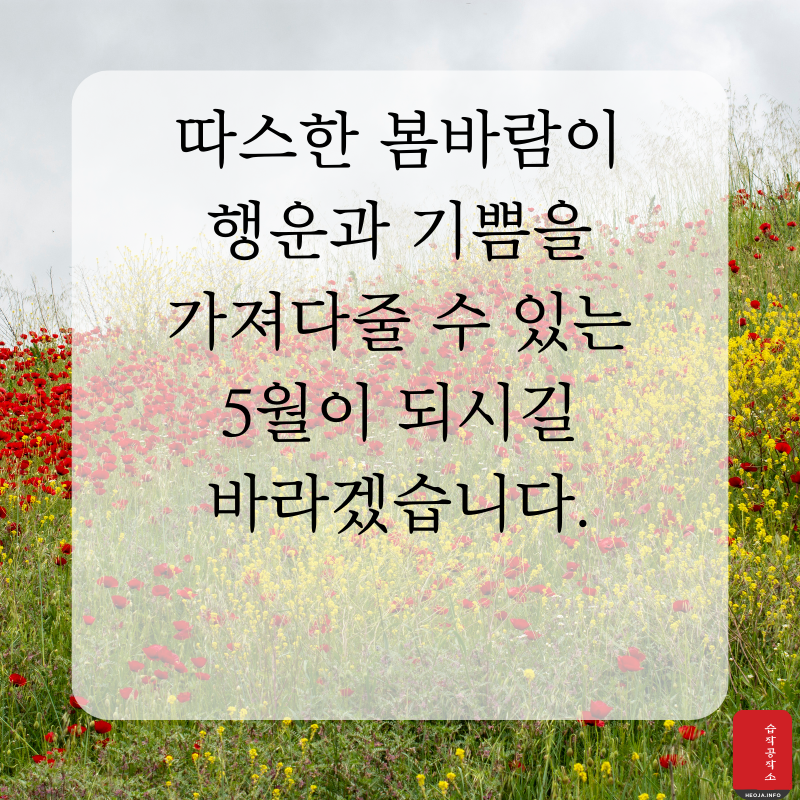 2025년 5월 인사말 문구 이미지 모음집