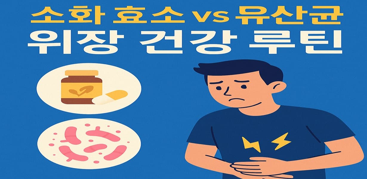 “소화 효소와 유산균 비교를 주제로 한 위장 건강 루틴 썸네일 이미지”