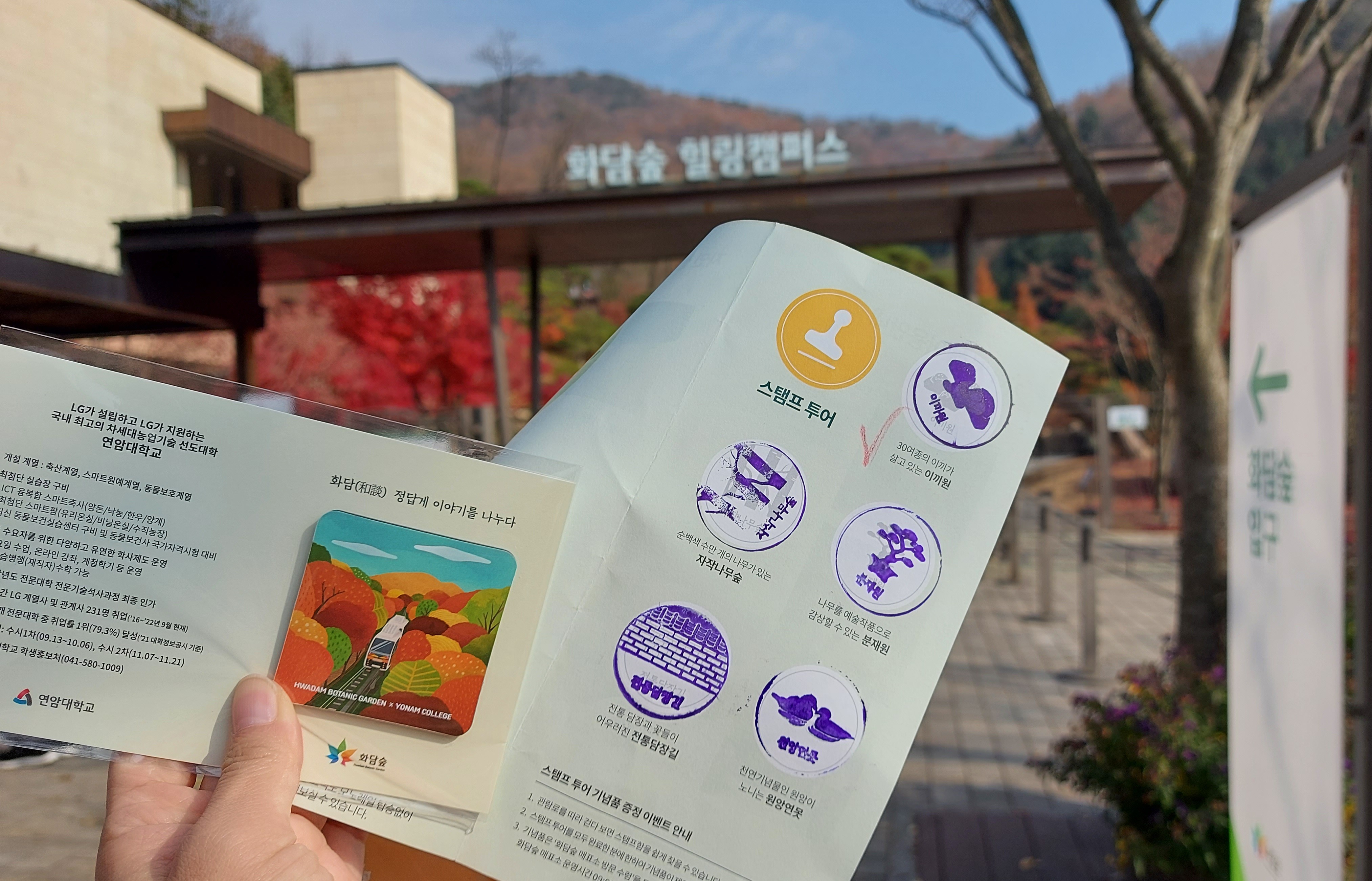 곤지암 화담숲 단풍