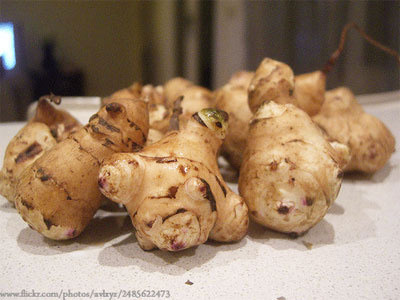 돼지감자 먹는법, 먹는방법과 효능