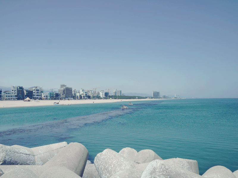 엄마가 혼자있는 개인시간을 가지게 된다면 첫 번째로 &quot;바다&quot;를 보러 가지 않을까? (photo by 똑딱박사엄마 / 안목해변, 강릉항 방파제에서)