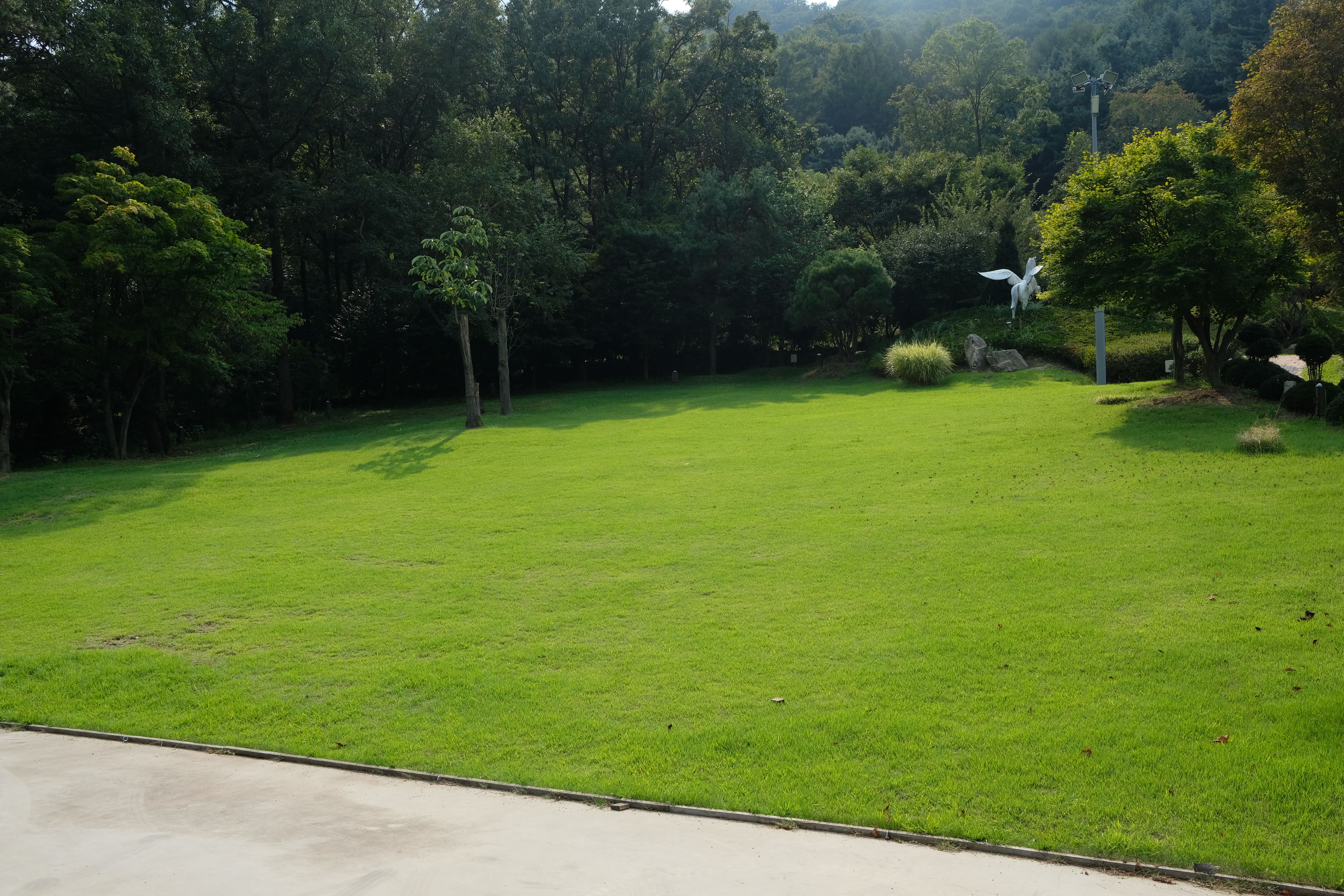 덕평공룡수목원 잔디광장