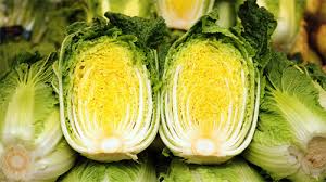 김장 절임 배추