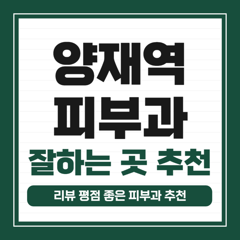 양재역 피부과 유명한 곳 전문의 병원 추천 모공 레이저 잘하는 곳 TOP 5