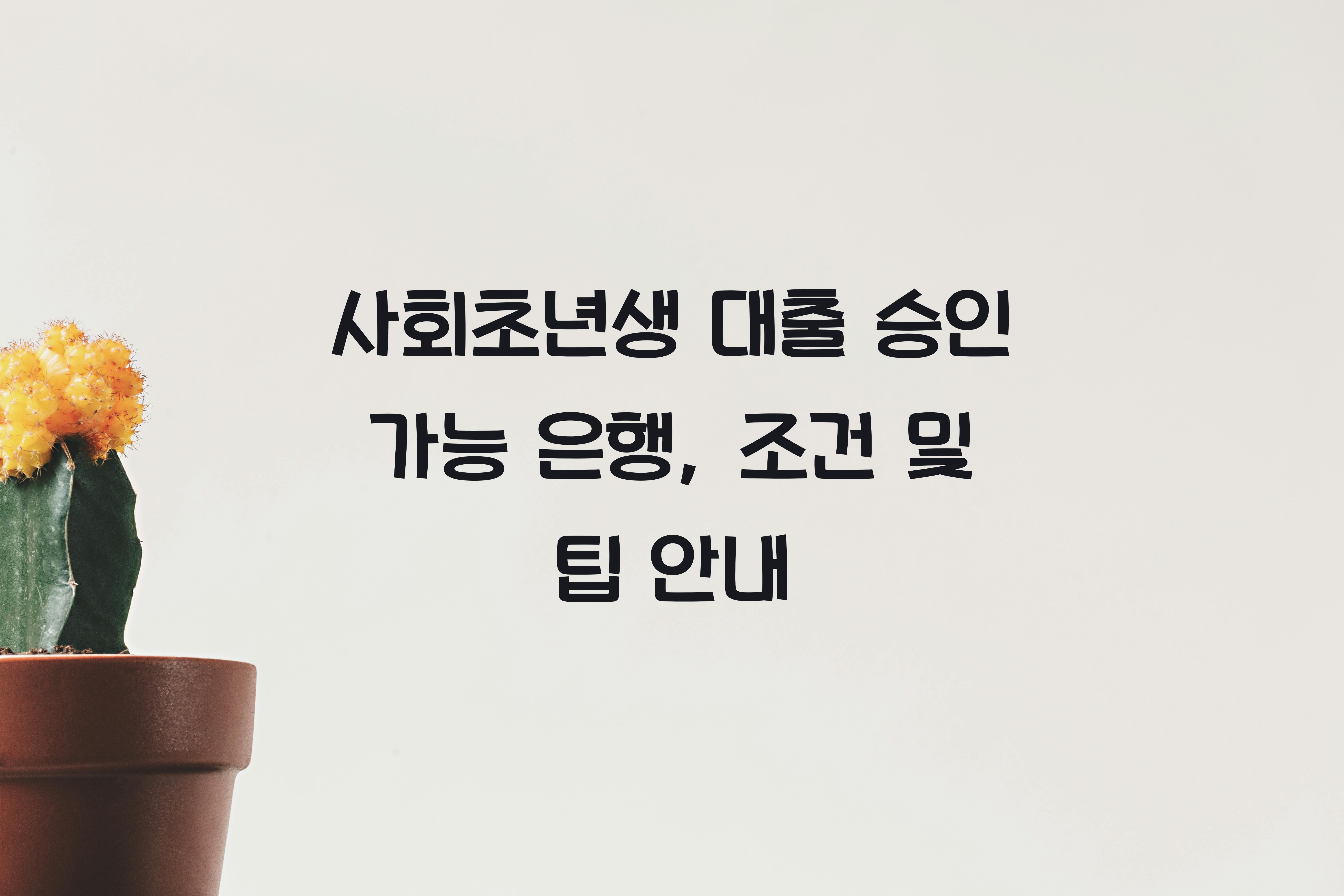 사회초년생 대출 승인 가능 은행