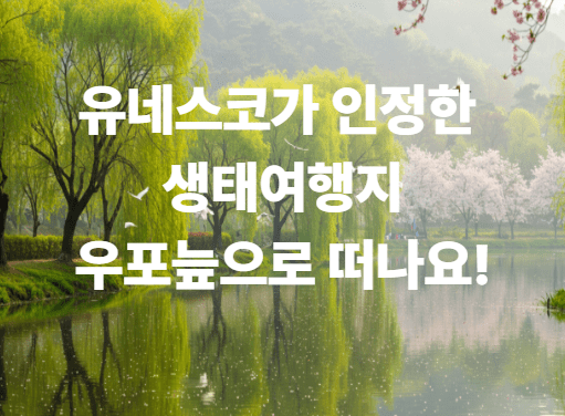 지금 아니면 늦어요! 자연 속 힐링 우포늪 여행