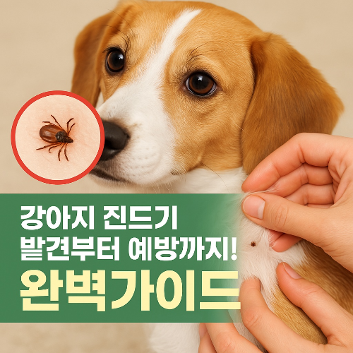 강아지 진드기 발견부터 예방까지 완벽가이드