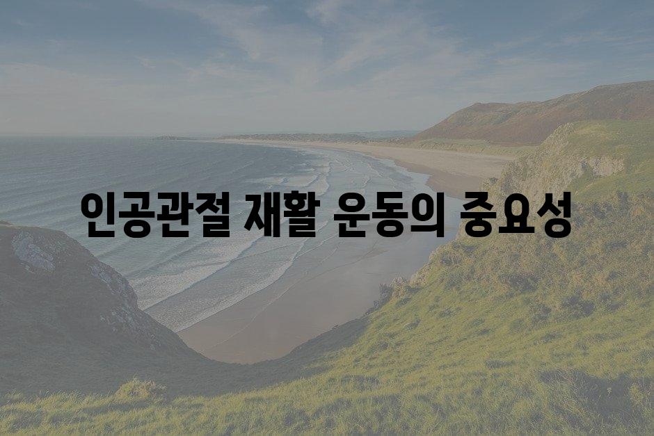 샘플 (86)