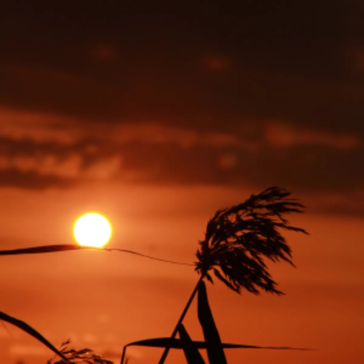 2025년 새해 일출 명소