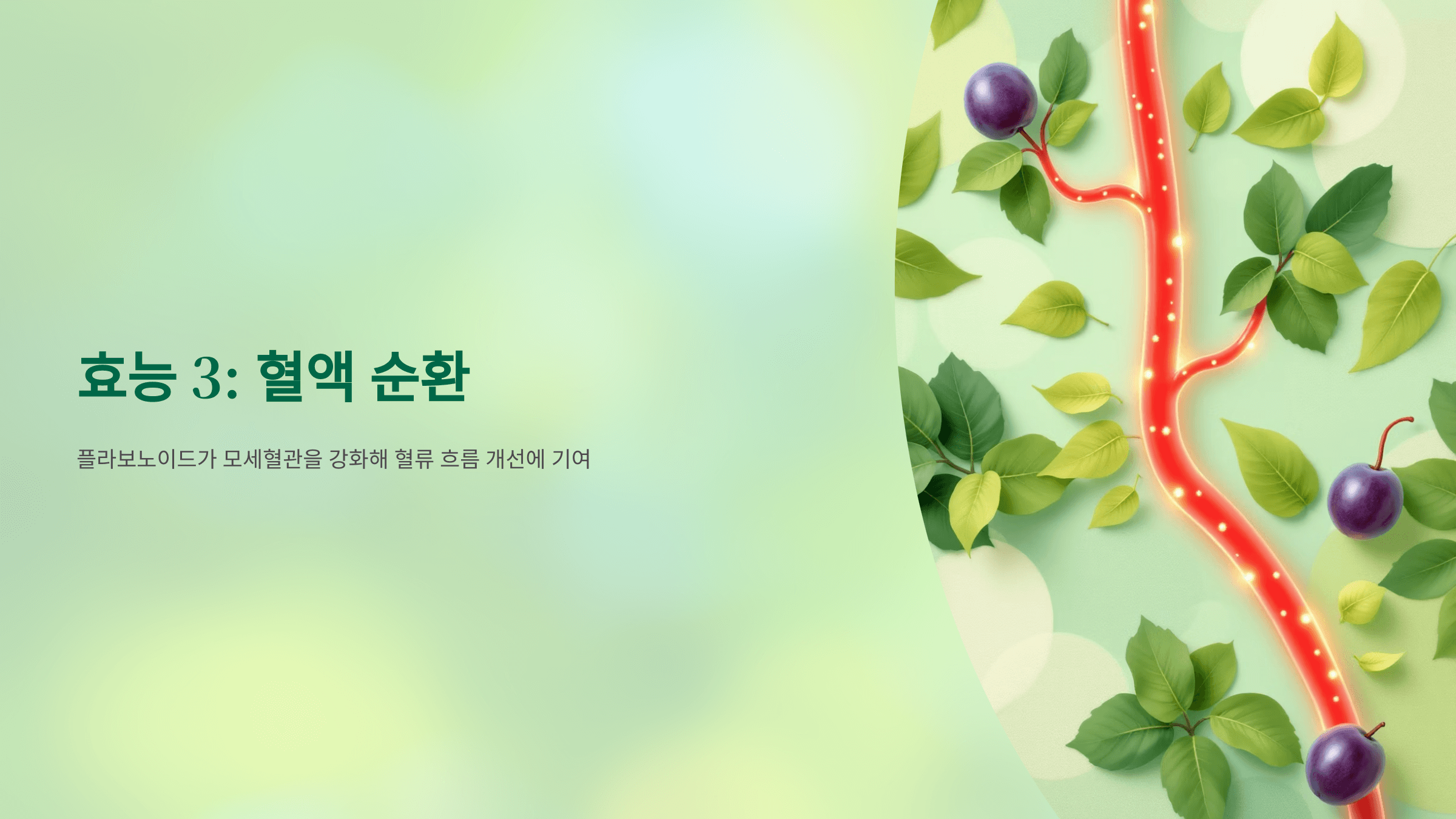 매실청 사진입니다.