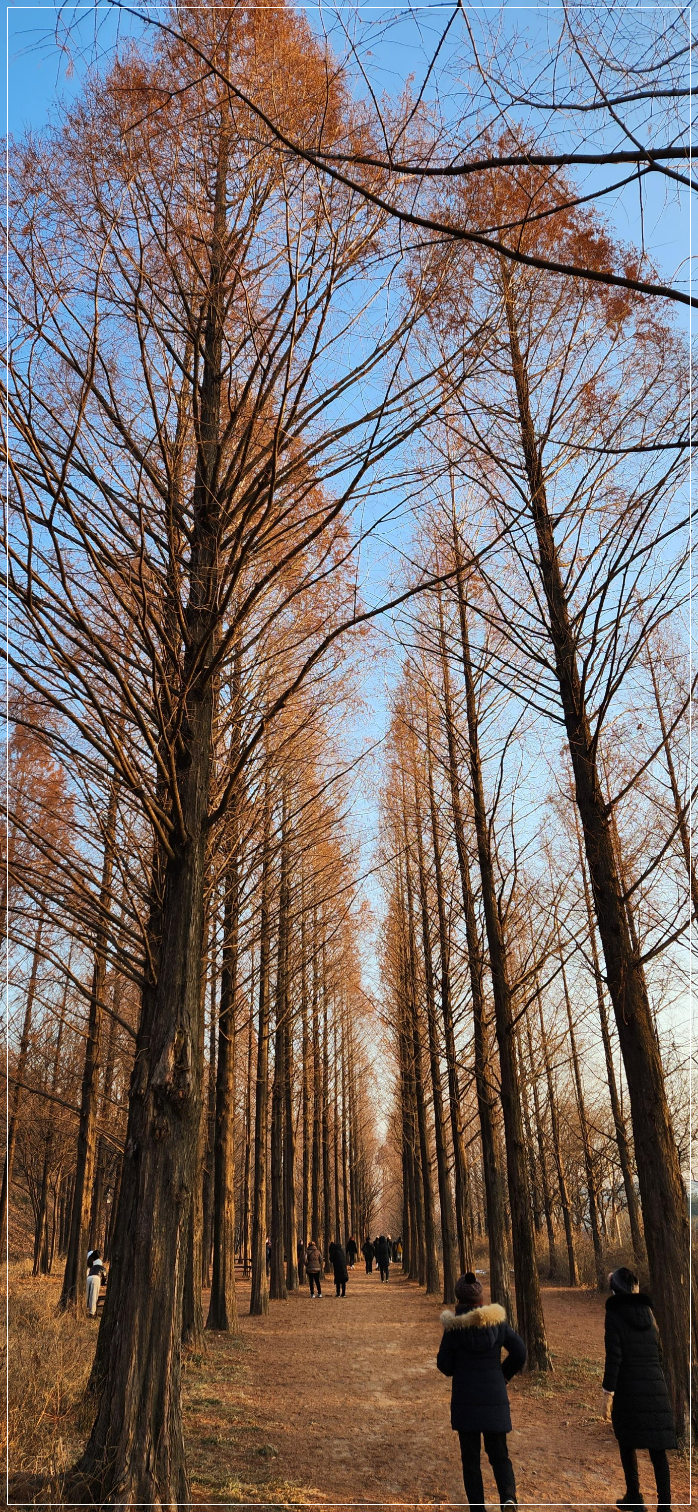 하늘공원 (마포) 새해 일출 해돋이 주차