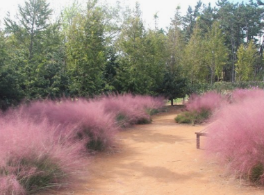 태안 청산수목원 여행지