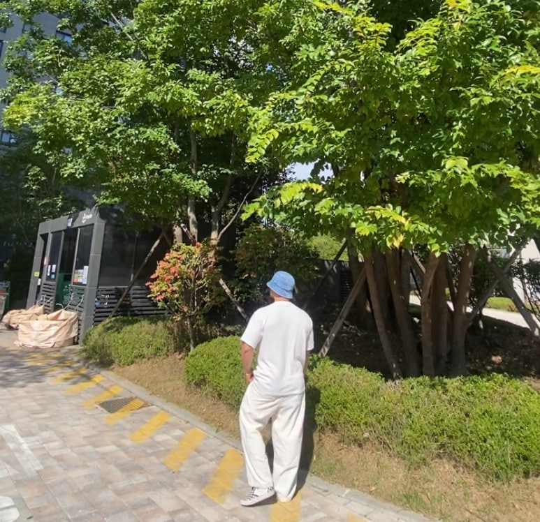 데일리룩('25. 10. 17.)루오에스펙 오버핏 벙거지 워싱 데님 라인 버킷햇, 어커버 오버핏 오버사이즈 티셔츠 반팔, 무신사스탠다드 무신사 데님와이드 벌룬팬츠, 반스 체커보드