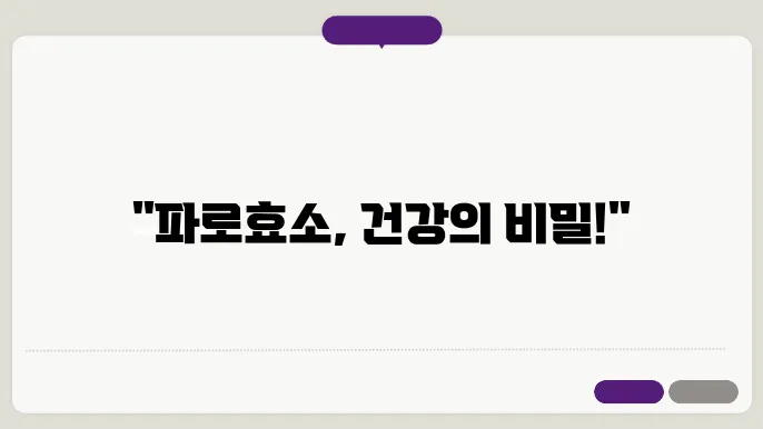 파로효소 효능 6가지 제대로 섭취하는 법