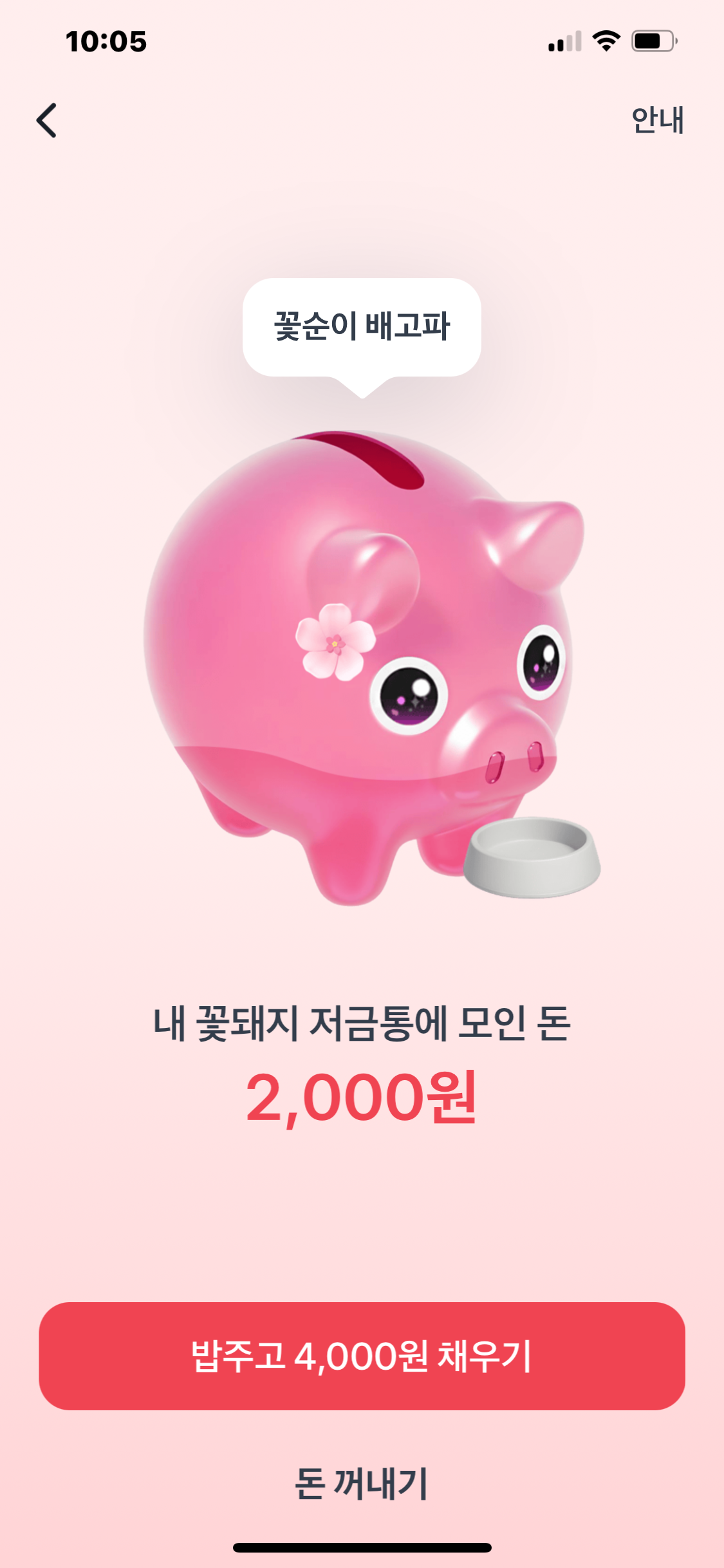 토스 꽃돼지 키우기(10,000원 받는 꿀팁)