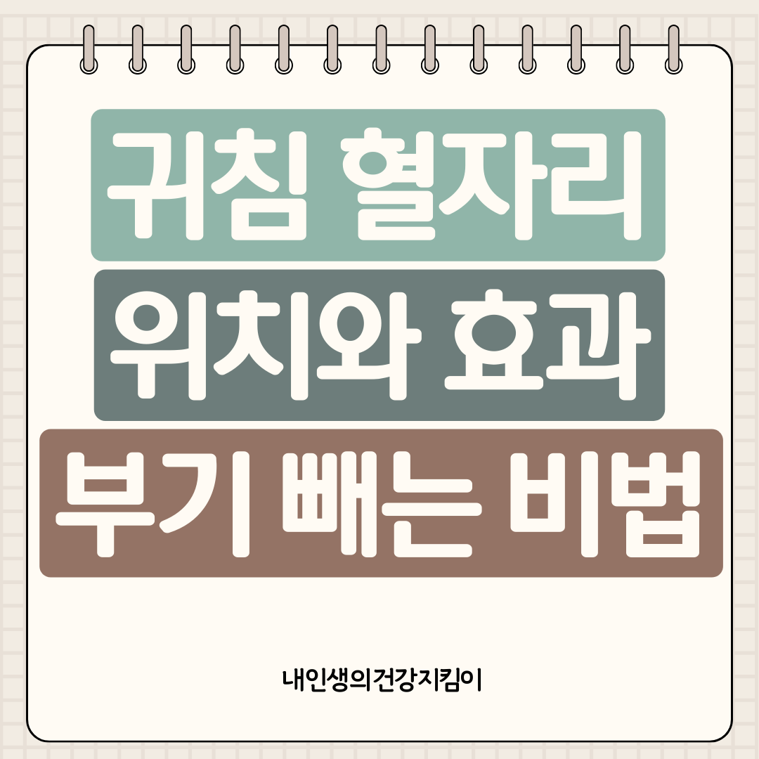 귀침 혈자리 위치와 효과 - 셀렙들이 숨기는 부기 빼는 비법