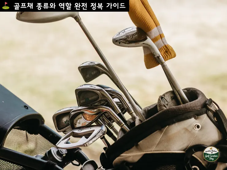초보도 이해하는 골프채 완벽 가이드