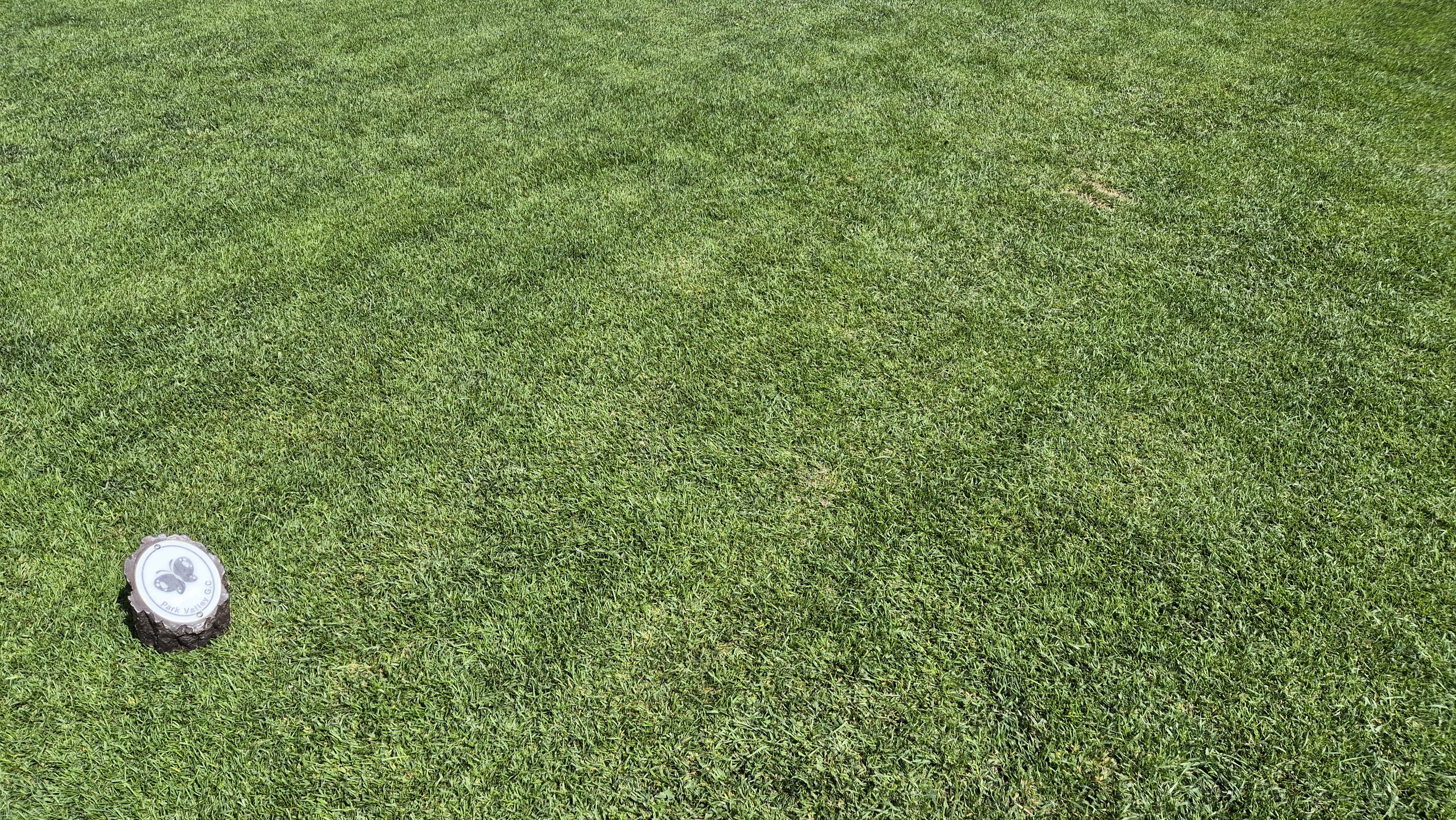 파크밸리gc 라운드 후기