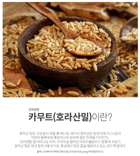 카무트 효소 효능