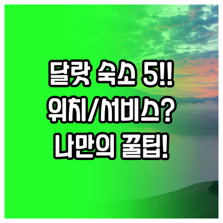 달랏 숙소 추천 베스트 5 위치 서비..