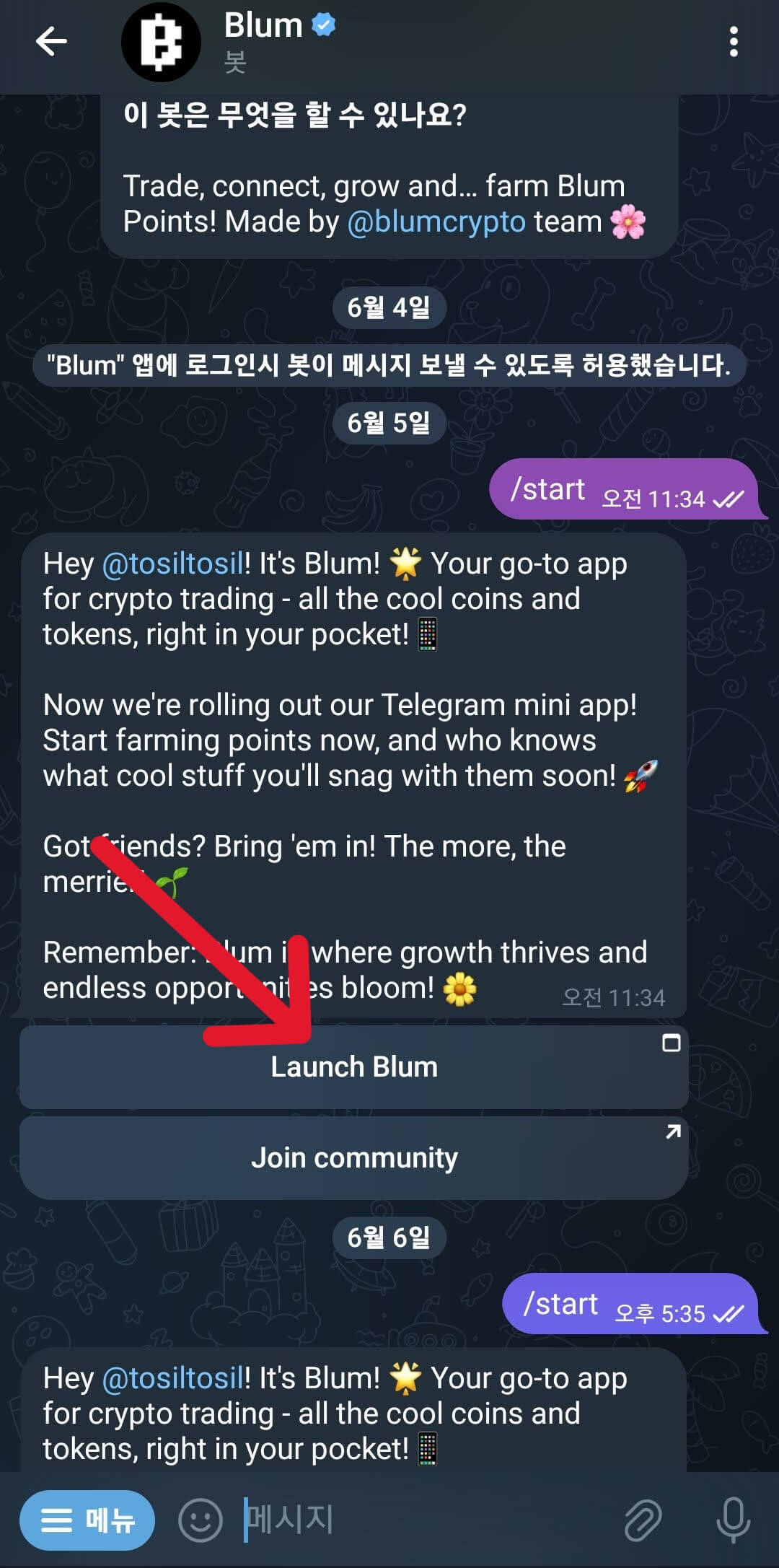 Blum coin